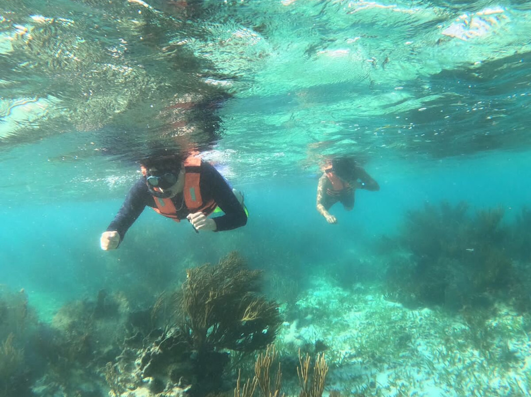 Atma-Ha Tours-从莫雷洛斯港必去景点