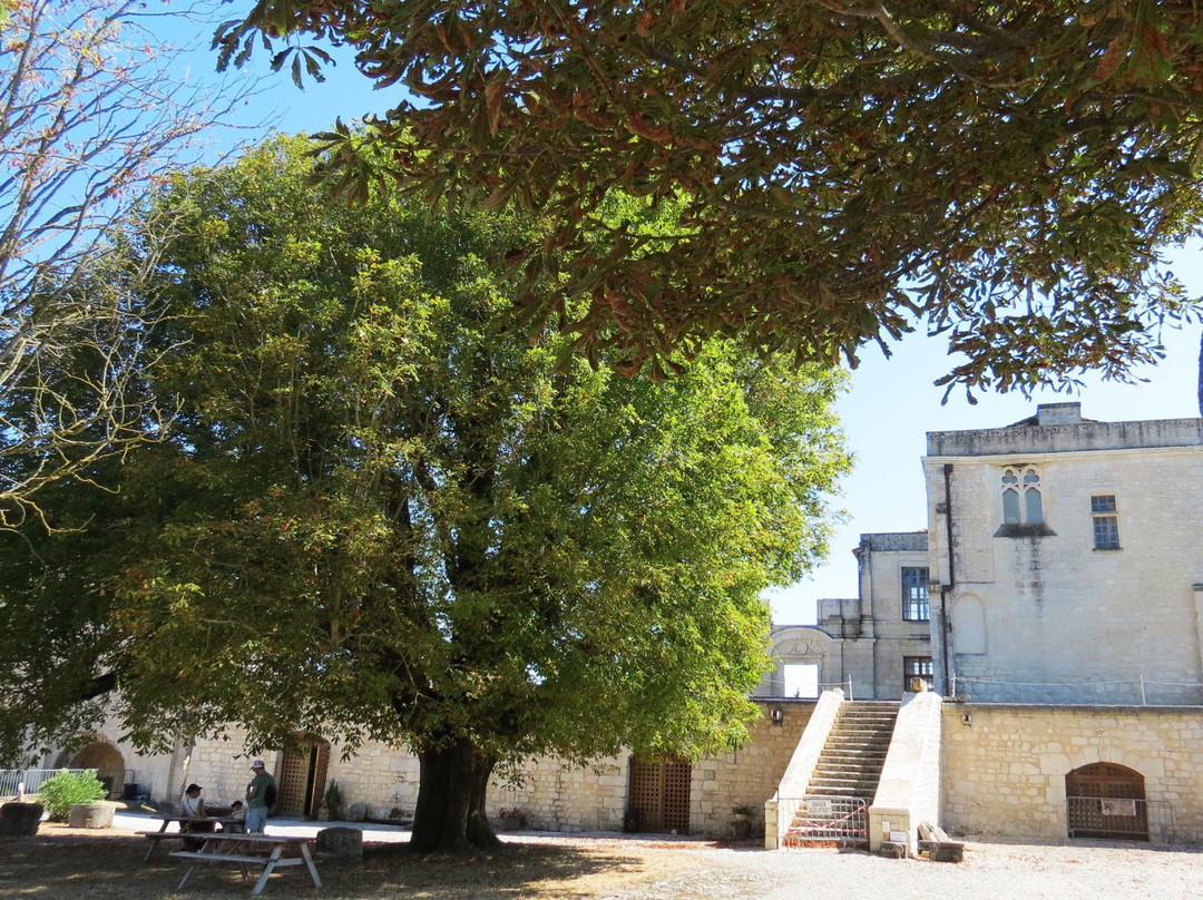 Chateau de Villebois-Lavalette景点图片