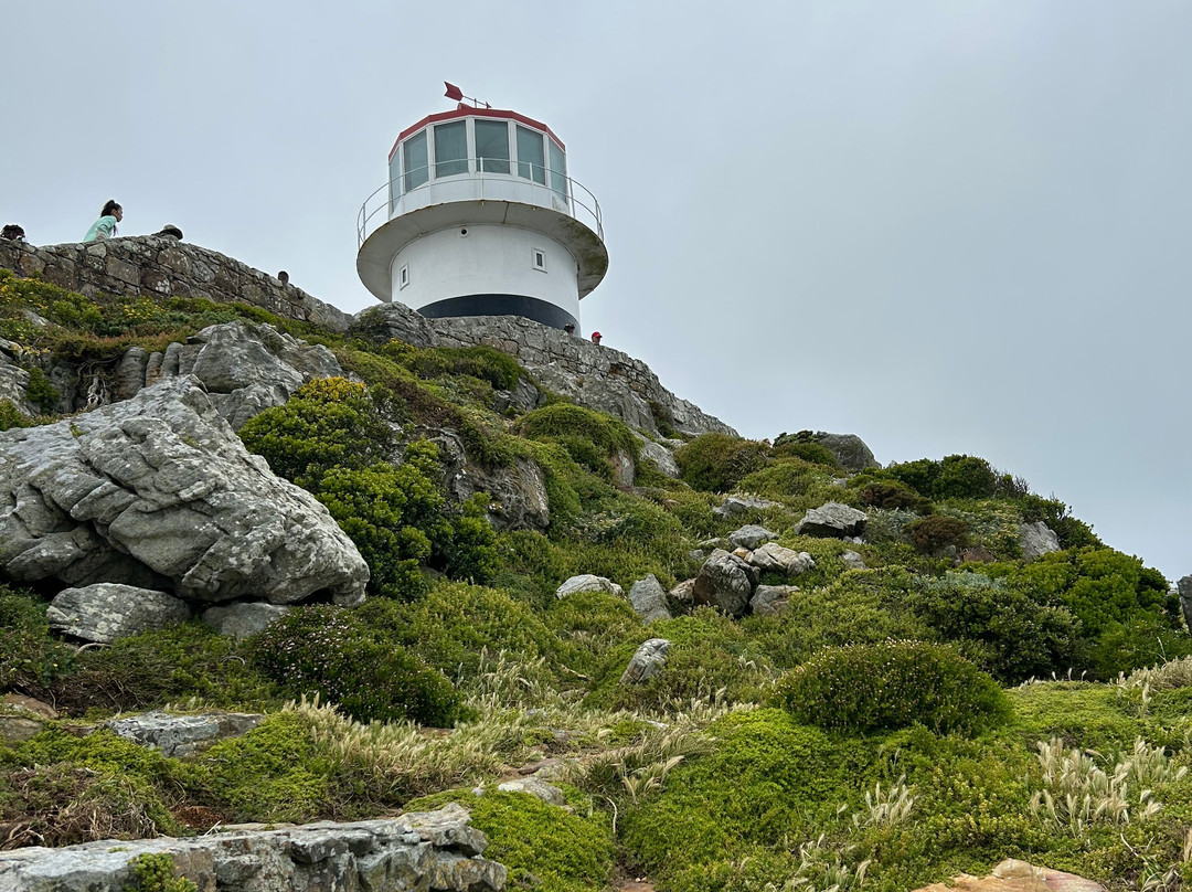 African Blue Tours-开普敦中心区必去景点