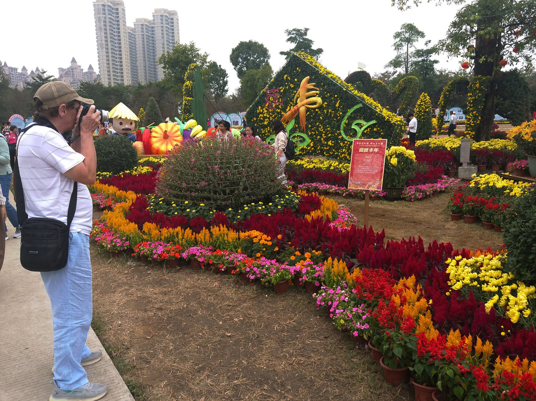 菊城金瓣景点图片