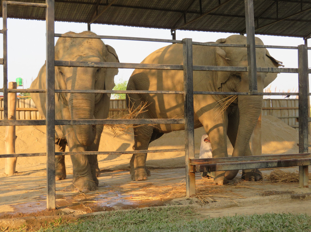 The SU4E Home-苏拉哈必去景点