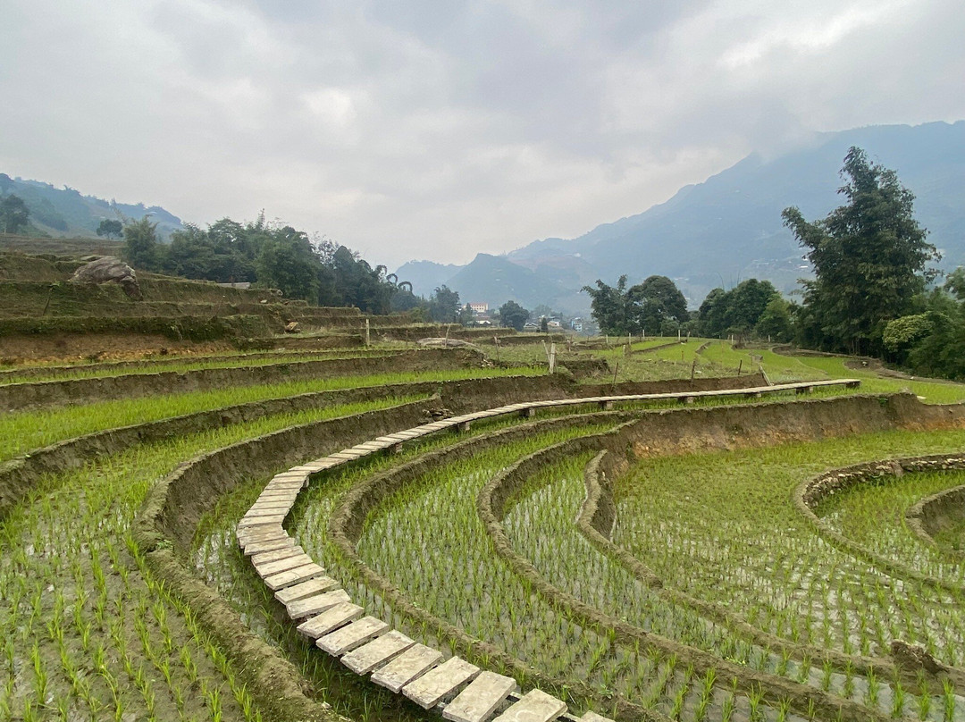 Travel New Land-河内必去景点
