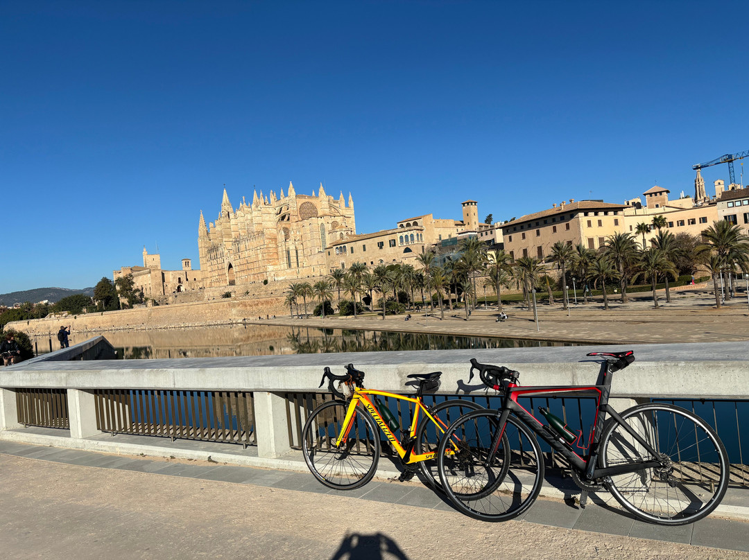 Happy Bike Palma.com景点图片