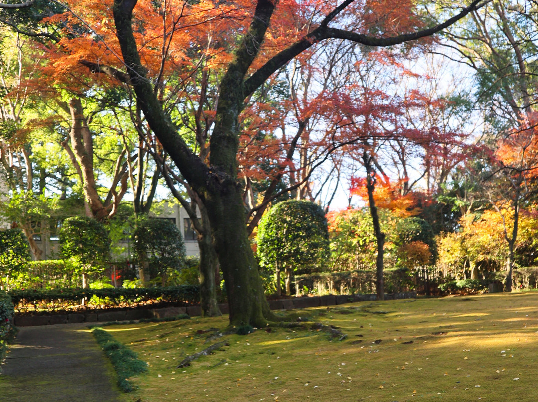 Tojogaoka Historical Park景点图片