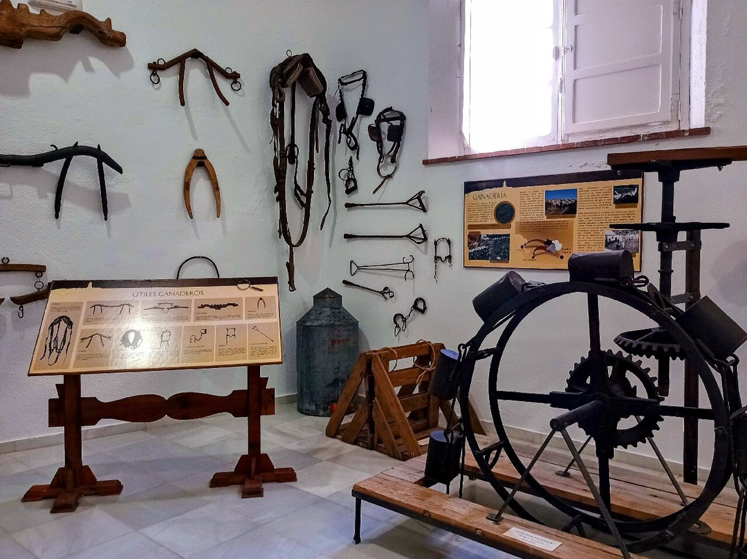 Museo Etnográfico de Medina Sidonia景点图片