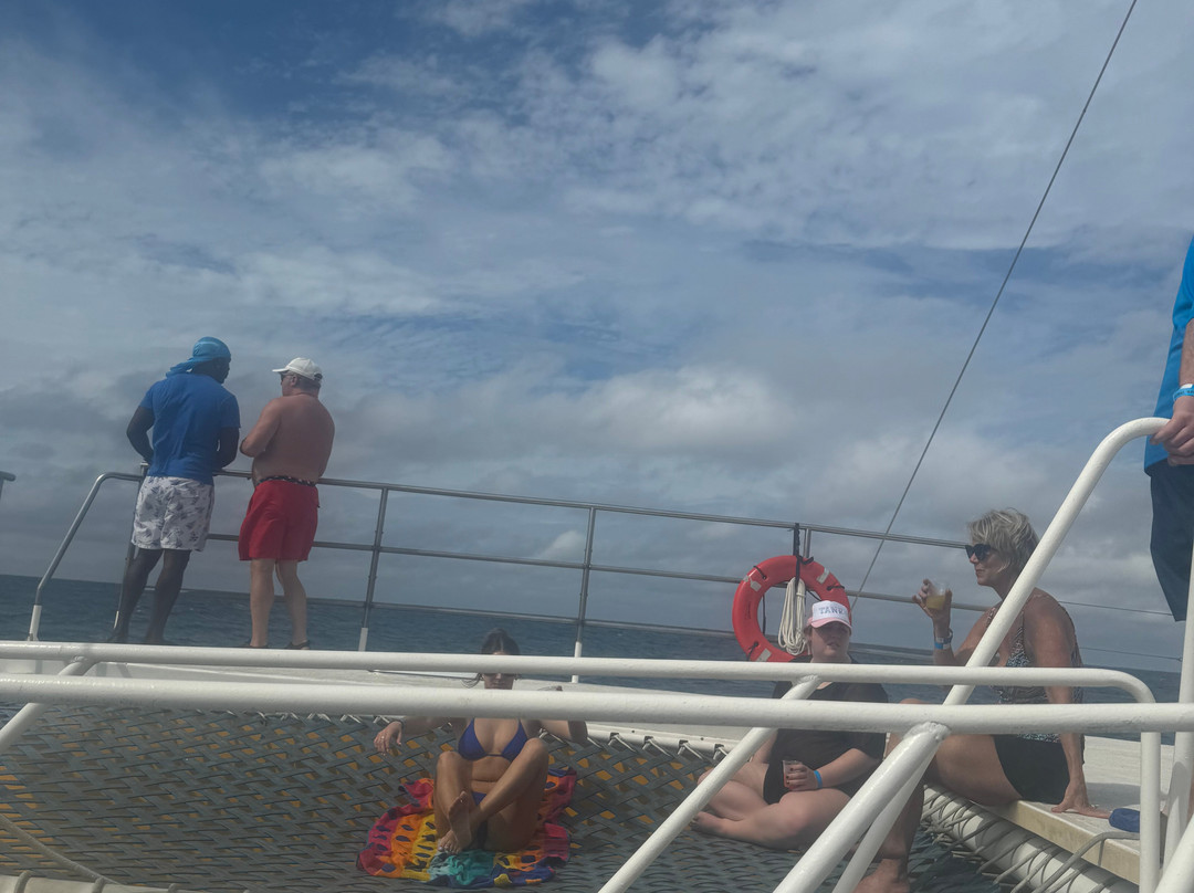 Island Tours & Excursions-普罗维登西亚莱斯必去景点