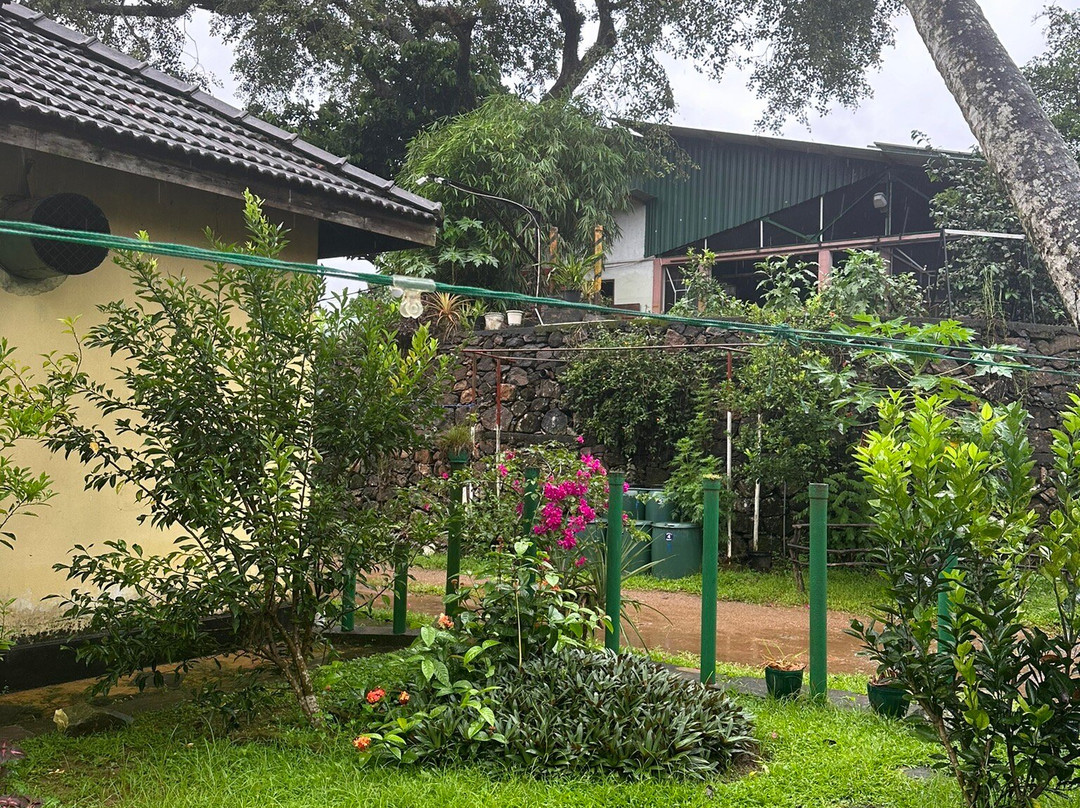 Nandana Tea Factory景点图片