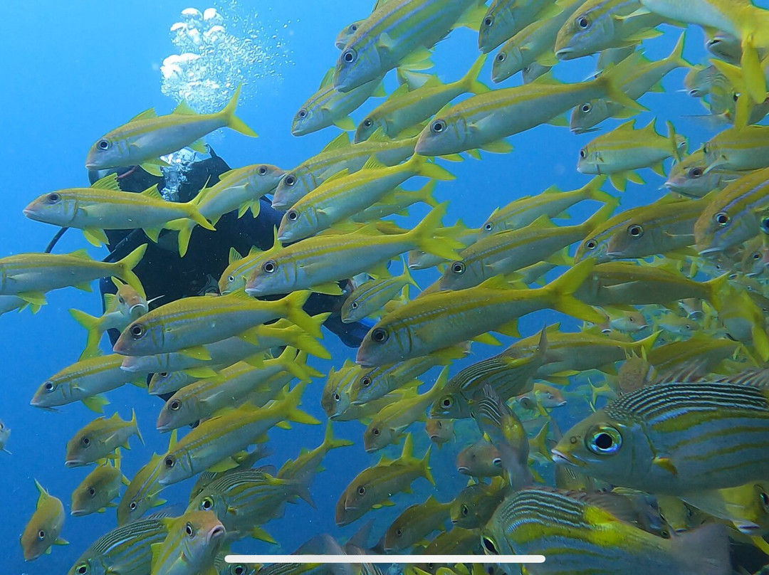 TGI Fasmendhoo-Fasmendhoo必去景点