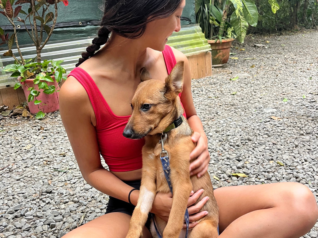 爱情乐园酒店主图