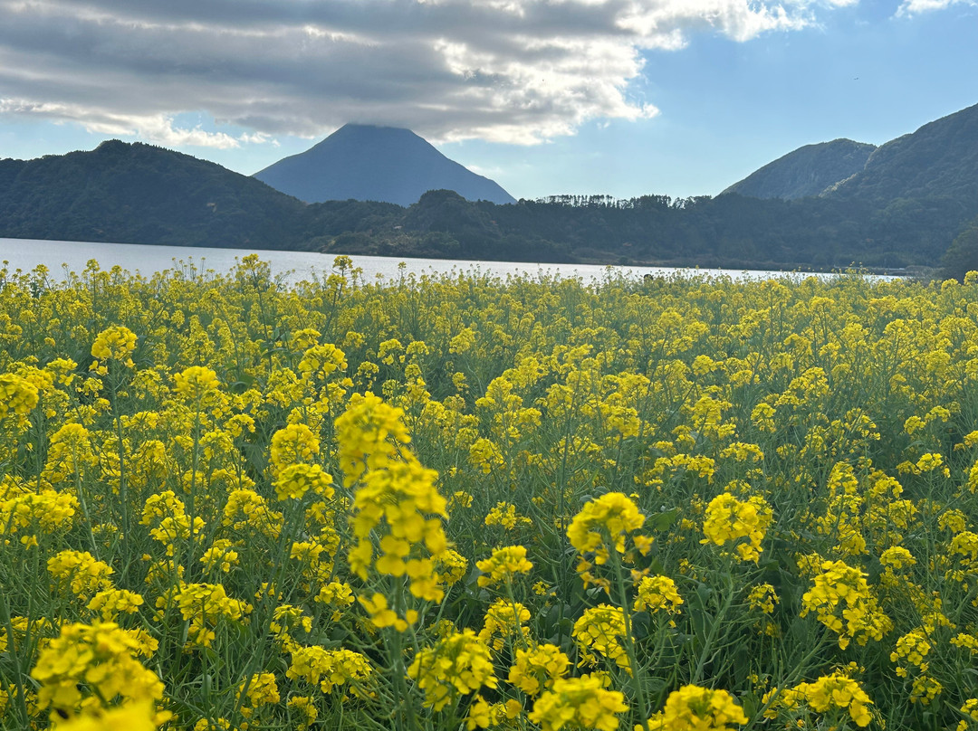 Lake Ikeda-指宿市必去景点