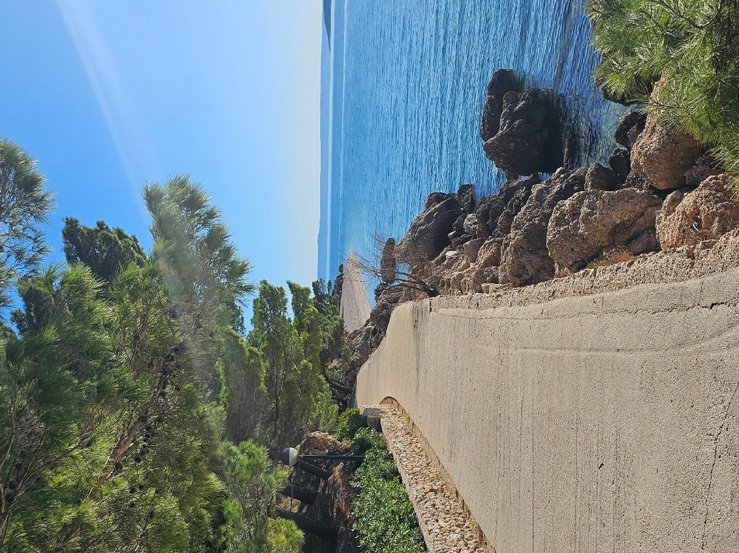 Brela Beach景点图片