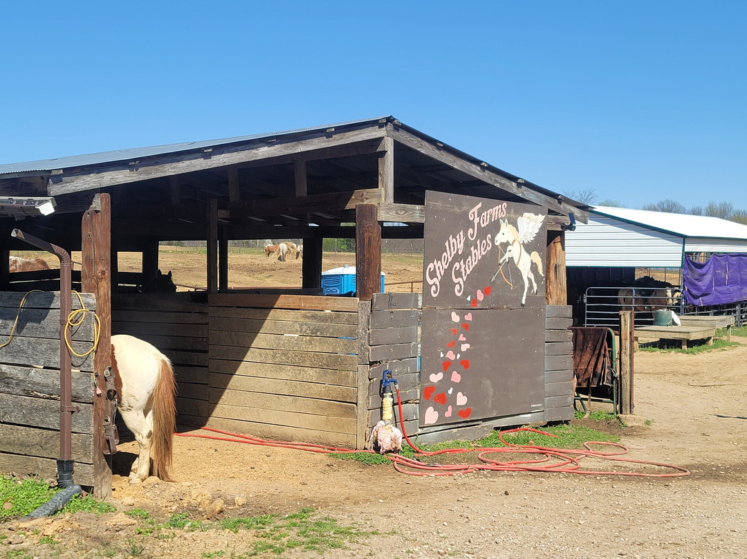 Shelby Farms Stables-孟菲斯必去景点