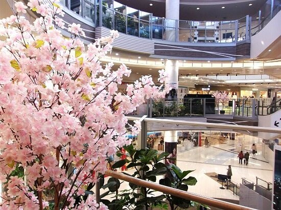 AEON Lake Town-越谷市必去景点