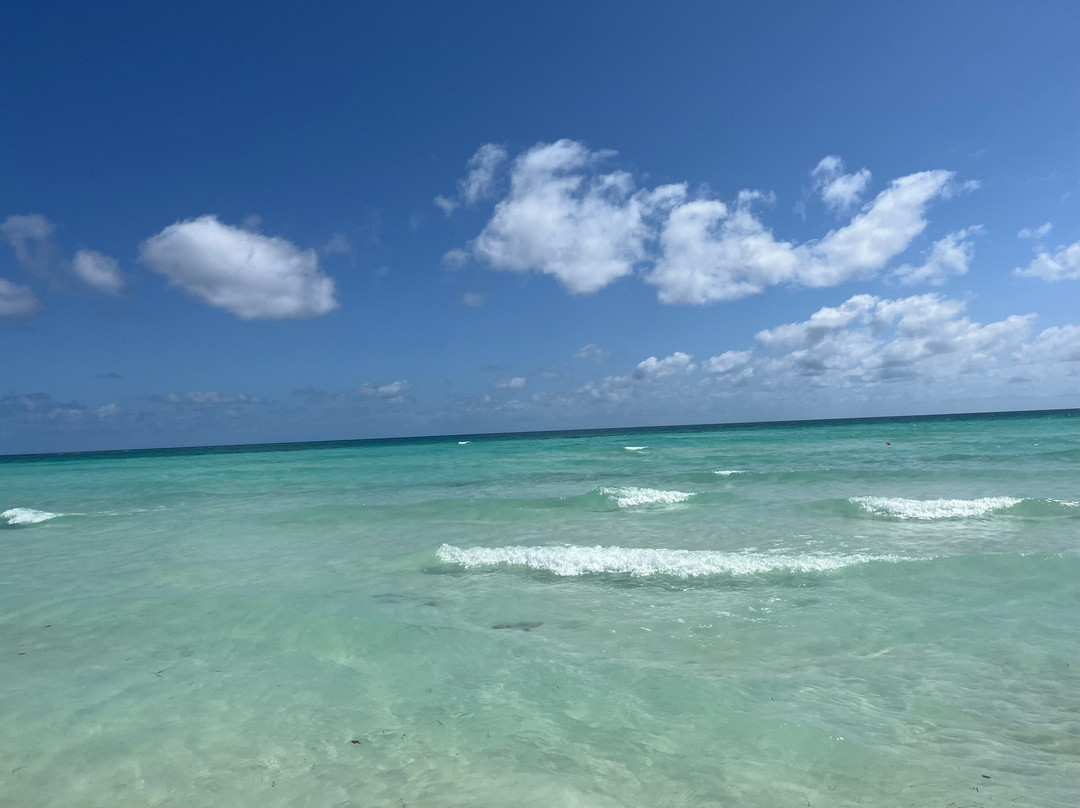 Hotel Cayo Paredón Grande