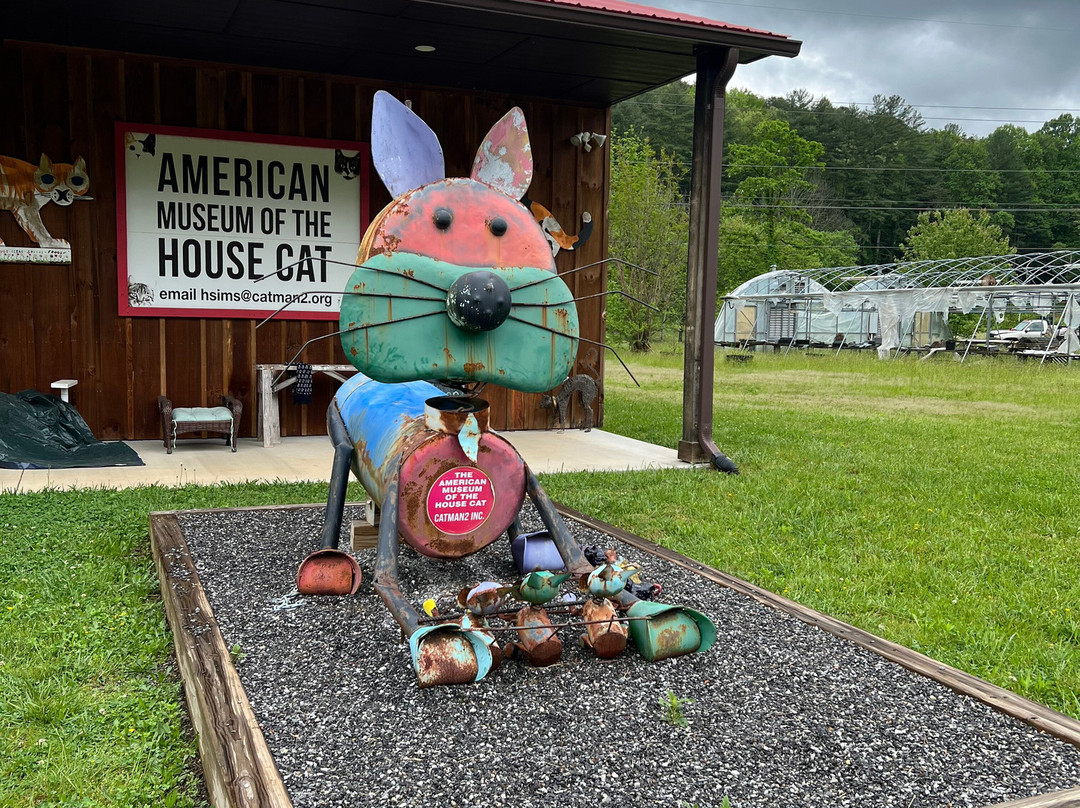 The American Museum of the House Cat景点图片