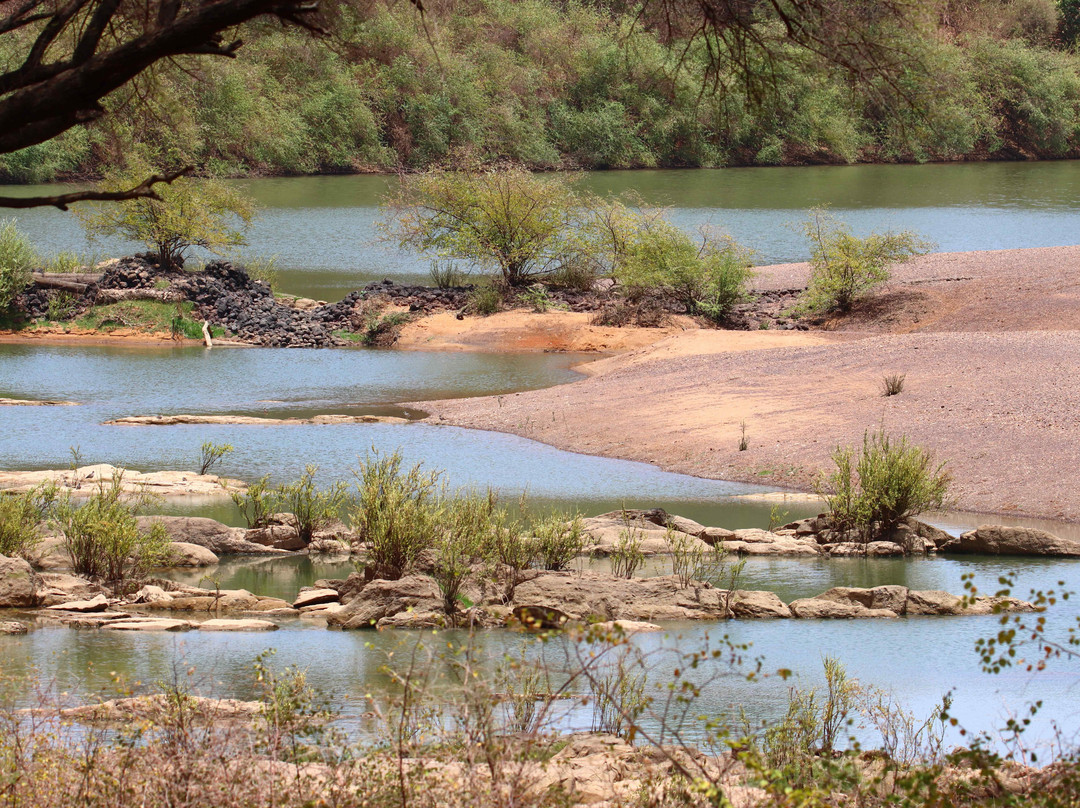 Parc National du Niokolo-Koba景点图片