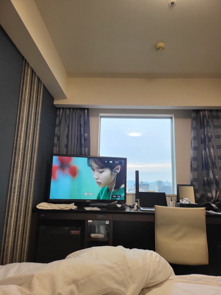 福冈天神里士满酒店-客卧