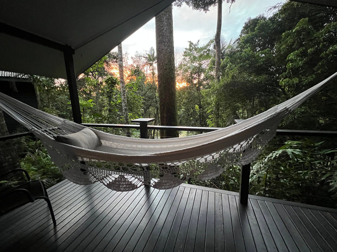 希尔奇橡树酒店主图