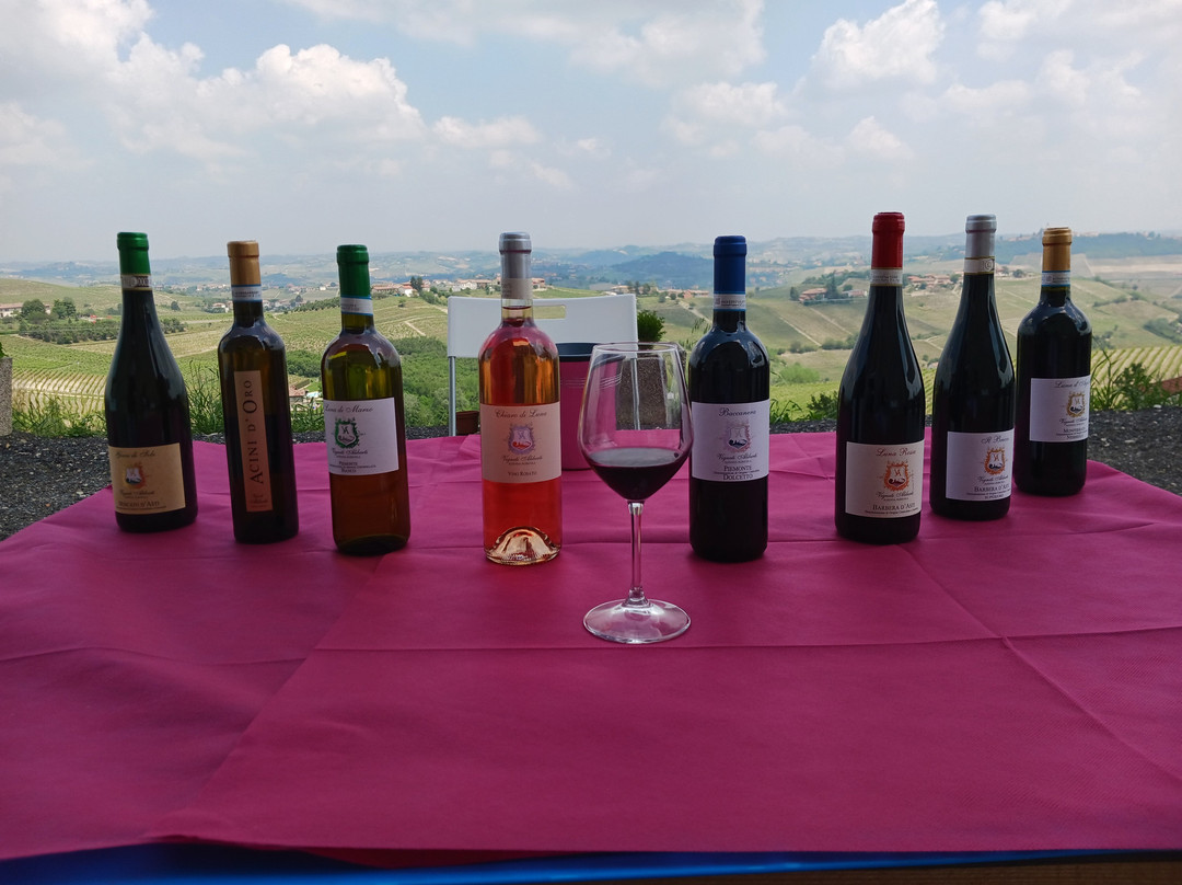 Canelli旅游景点-Vigneti Aliberti Azienda Agricola