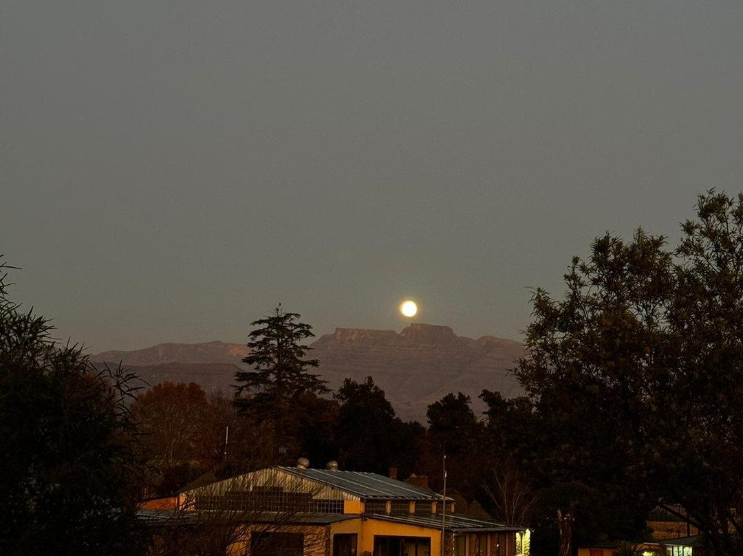 Ardmore Guest Farm主图