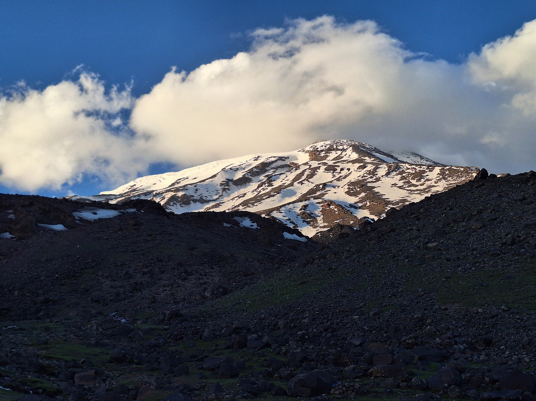 Ararat Trip景点图片