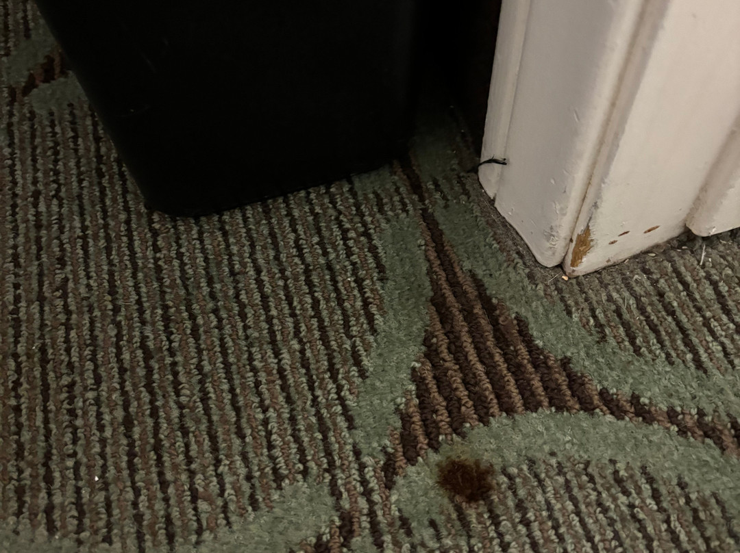 Best Western Pahrump Oasis主图