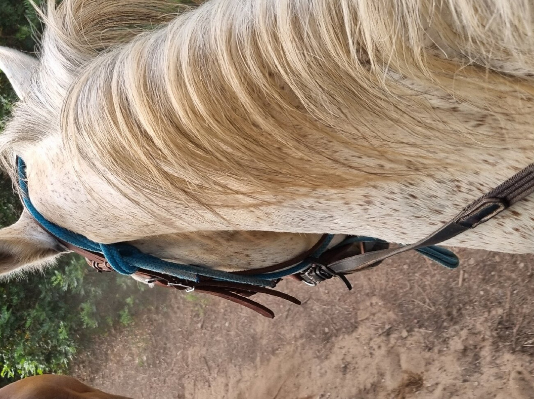 Maneggio Baratz-萨萨里省必去景点