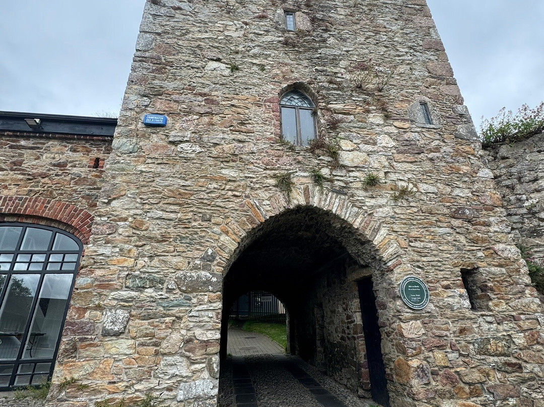 Selskar Abbey-County Wexford必去景点