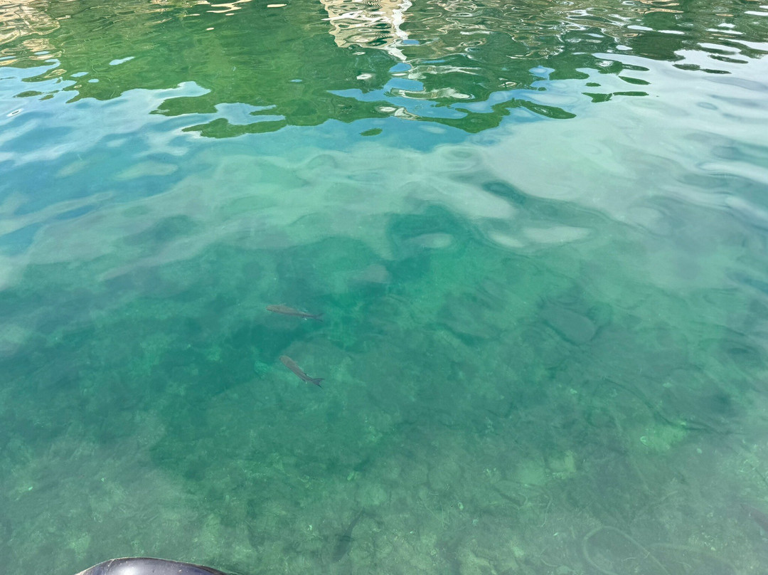 Puerto De Cala Figuera-Cala Figuera必去景点