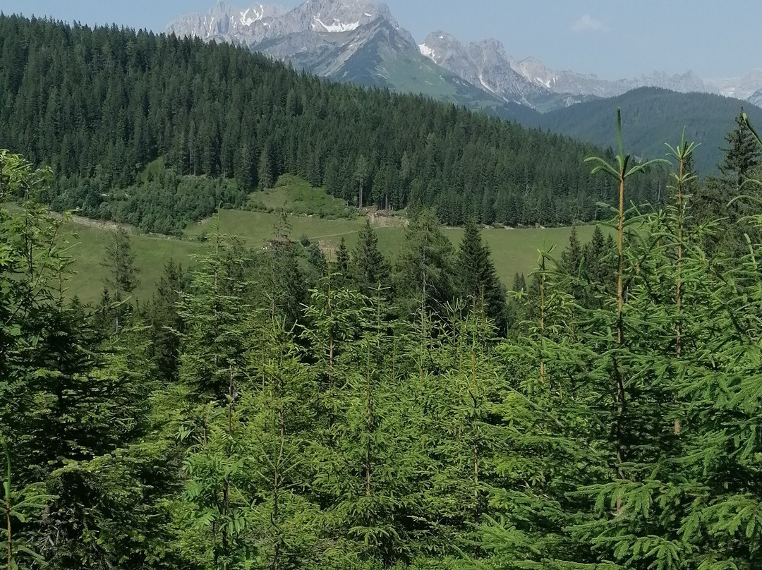 Hotel ...mein Neubergerhof主图