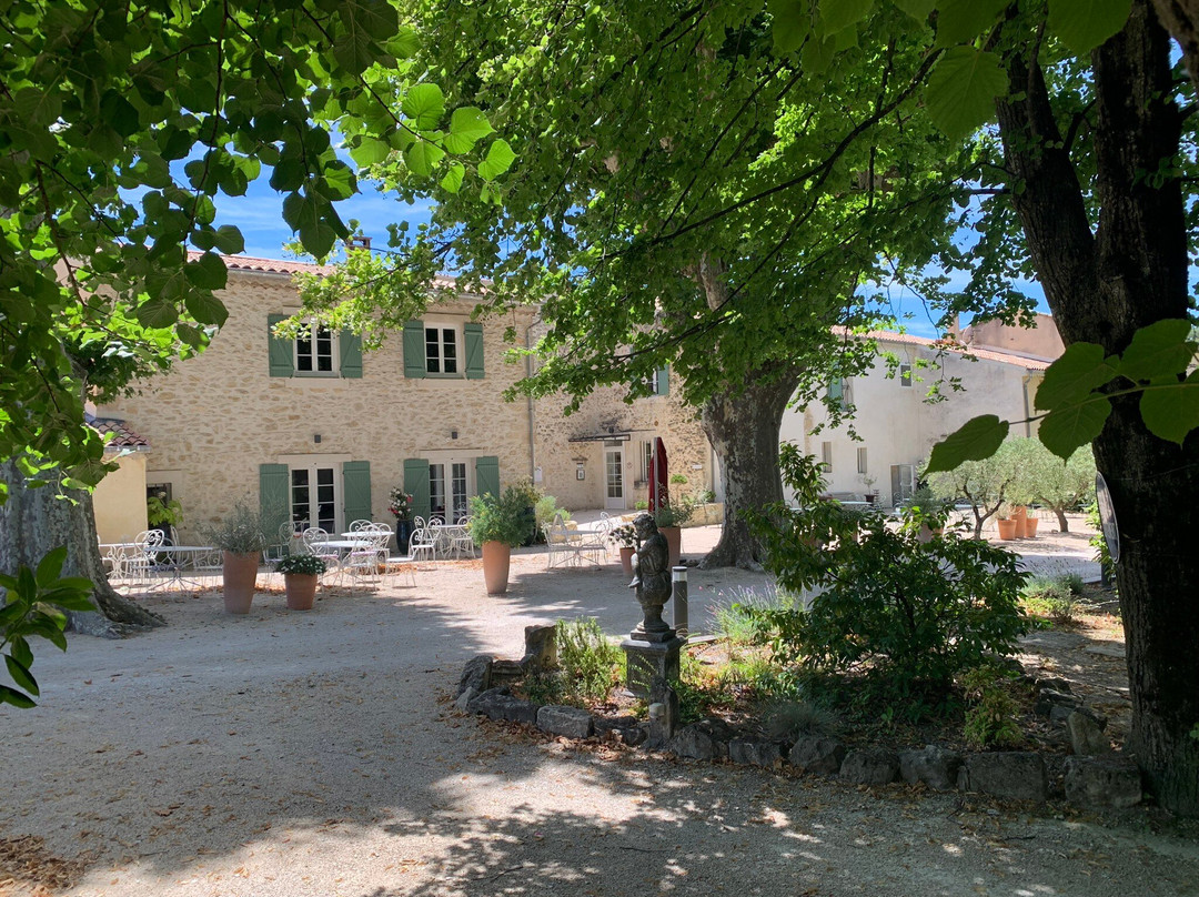 Hôtel Ventoux Provence Domaine des Tilleuls主图