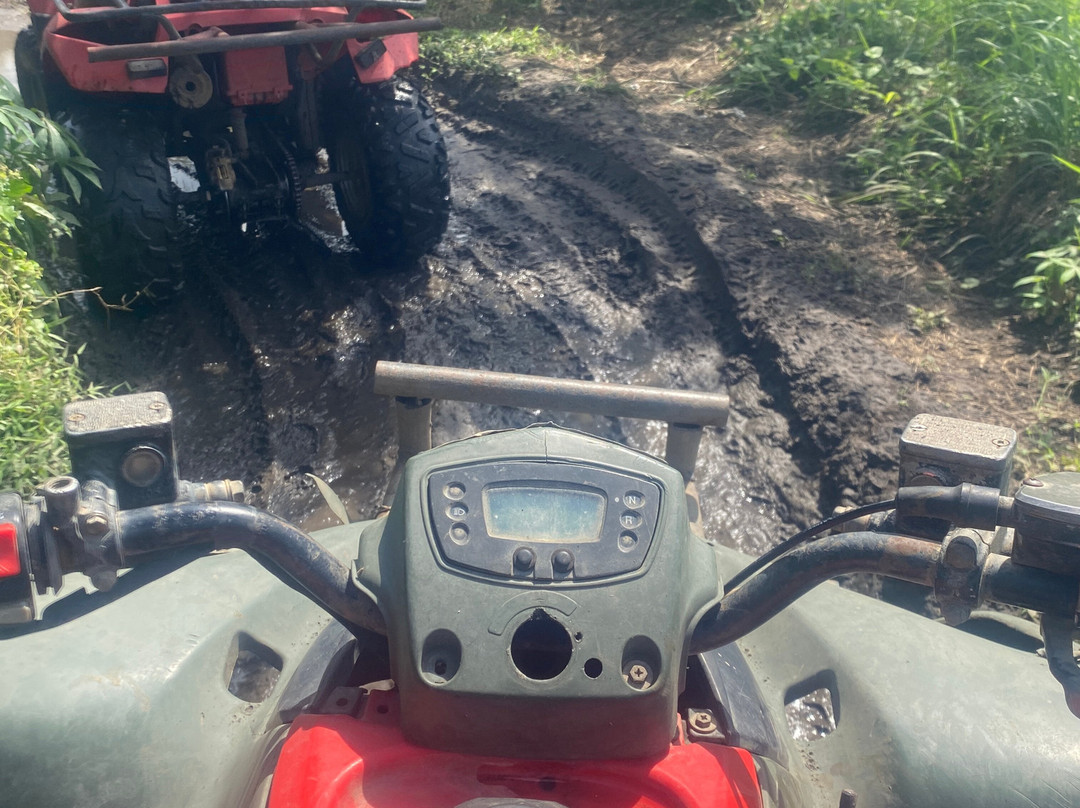 Bali Travelo - Day Tours-登巴萨必去景点