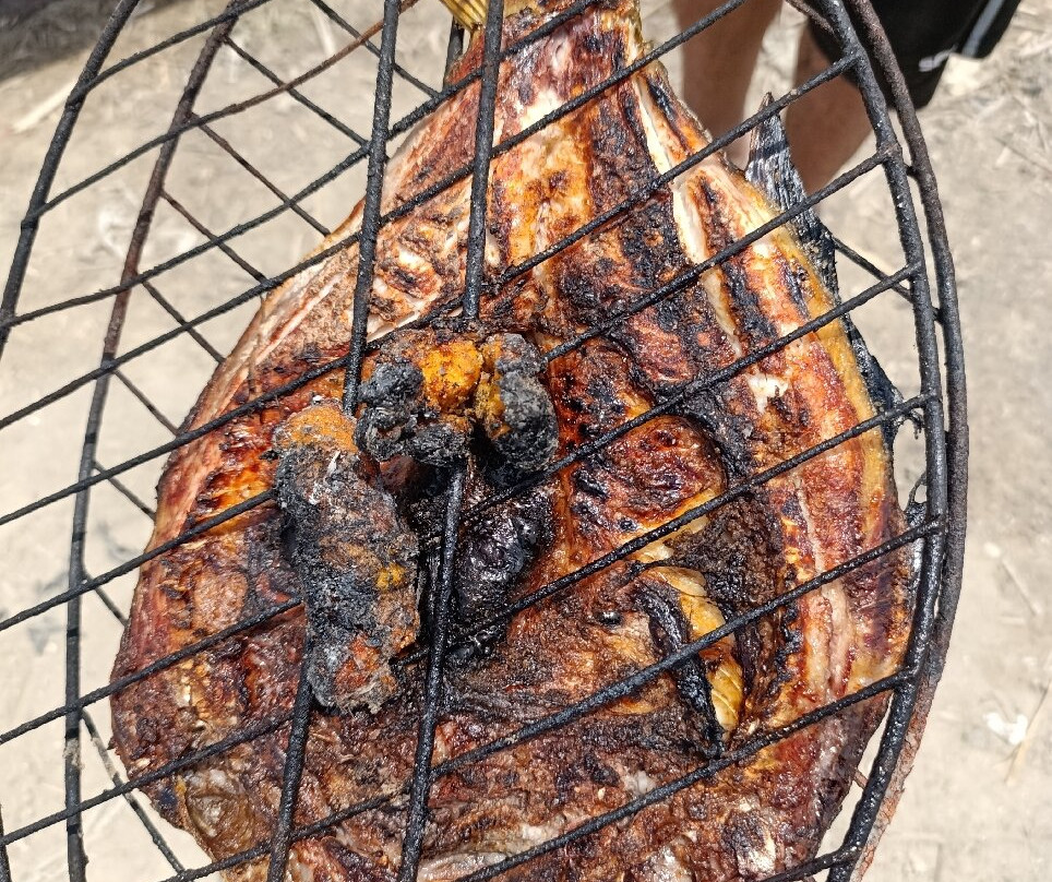 Chibayish Marshes-Nasiriyah必去景点