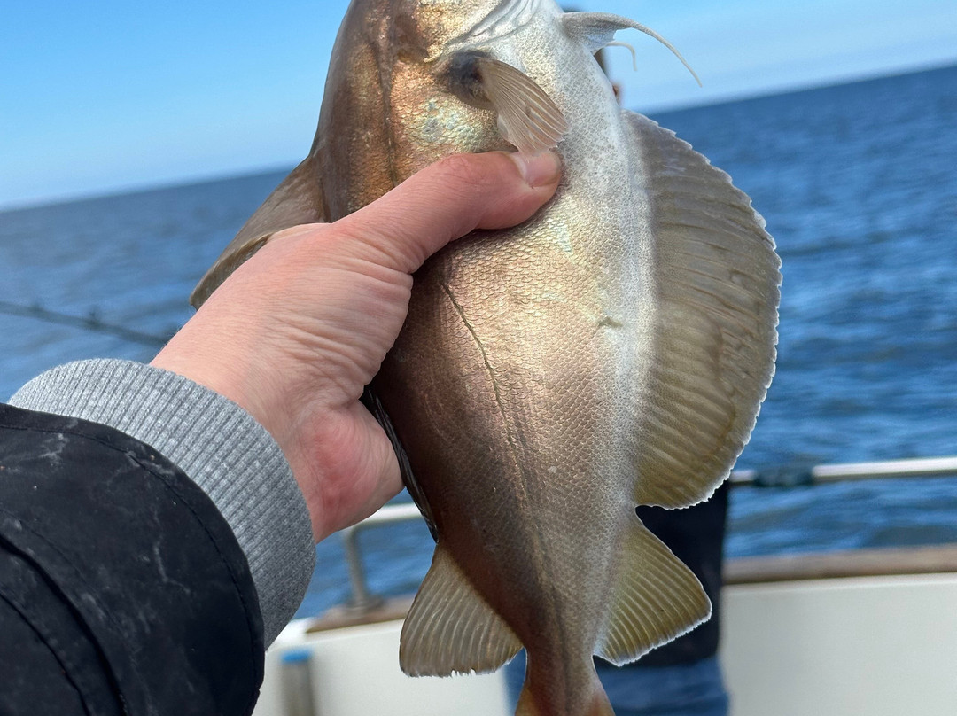 Fishing Adventures-Kilbaha必去景点