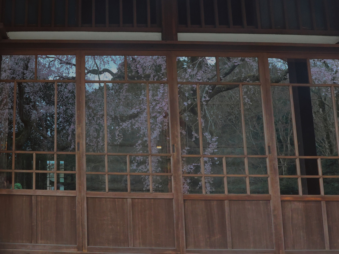Chichibunomiya Memorial Park景点图片