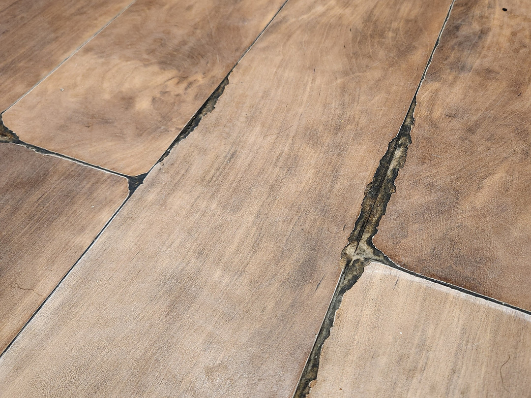 La Quinta Inn & Suites by Wyndham Fargo-Medical Center主图