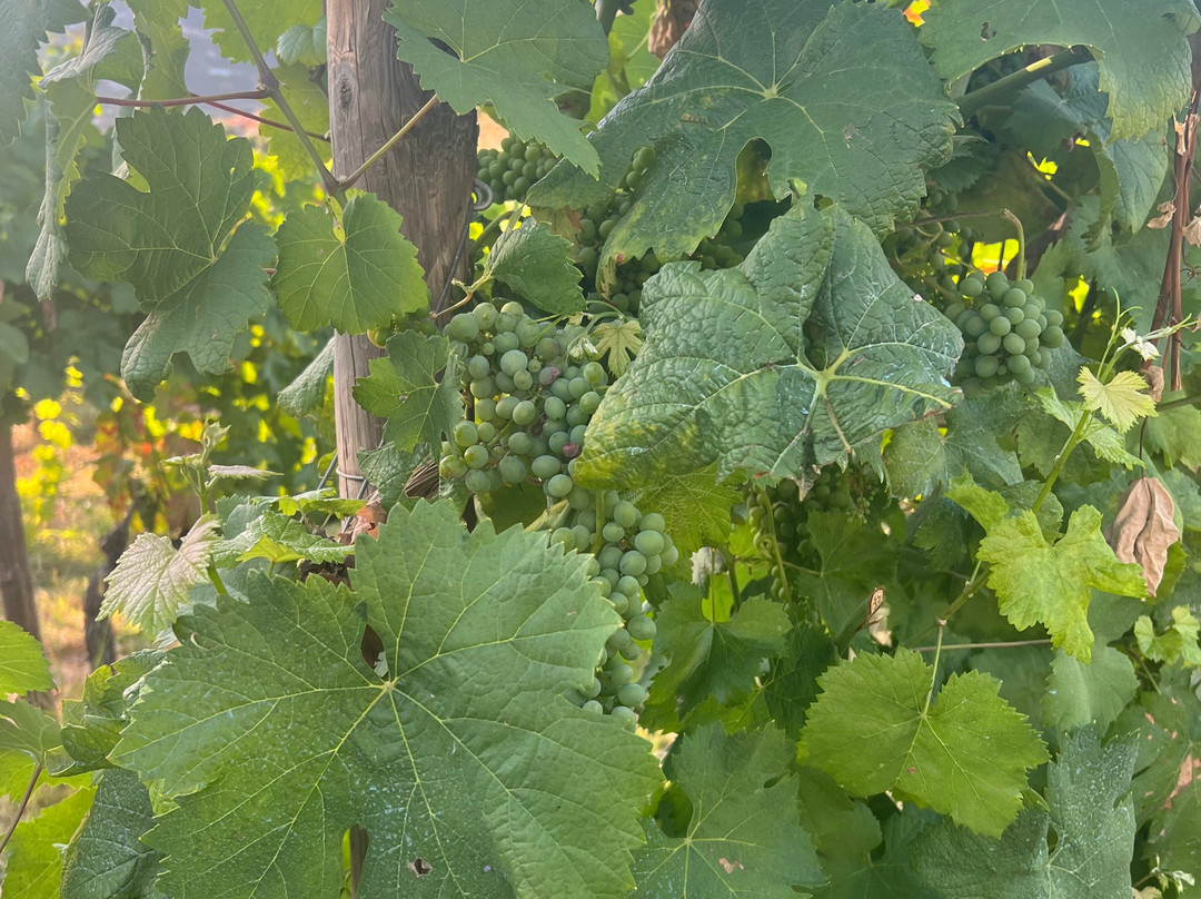 Quinta do Outeiro主图