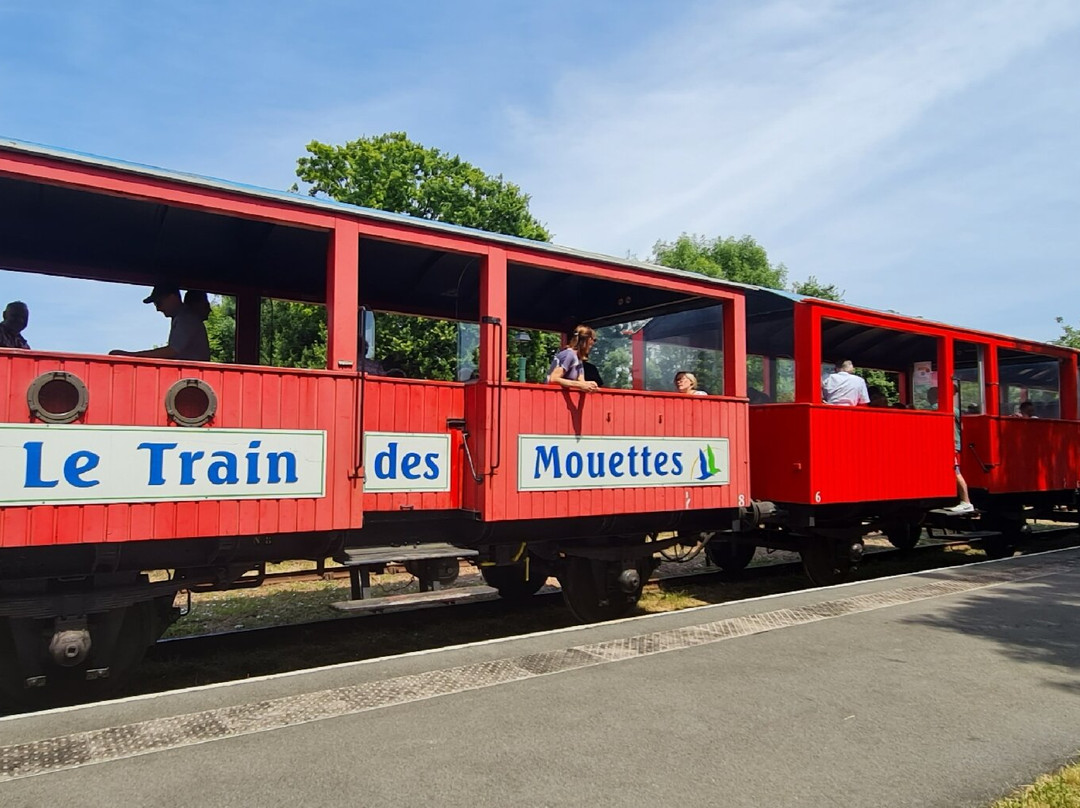 Le Train Des Mouettes景点图片