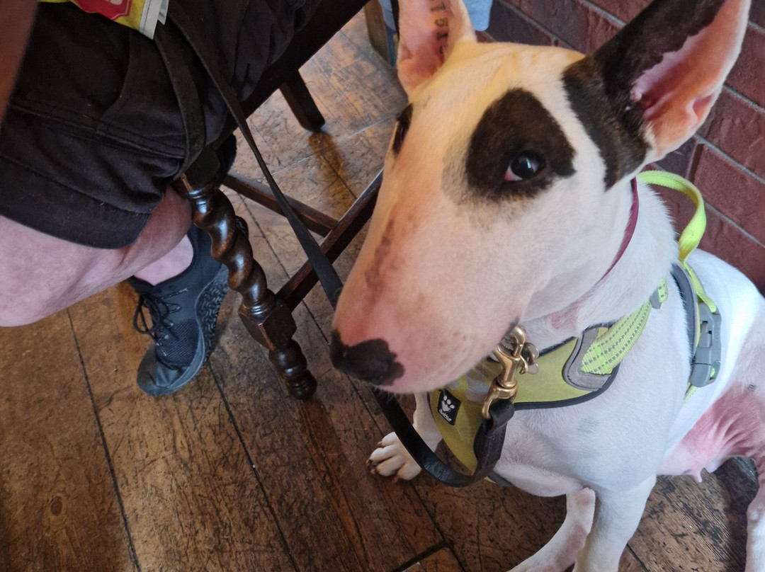 奥蒙德别墅酒店主图