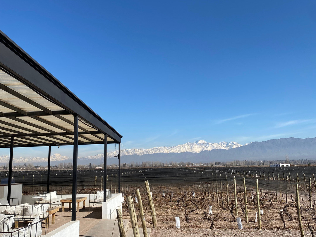 Viamonte Winery景点图片