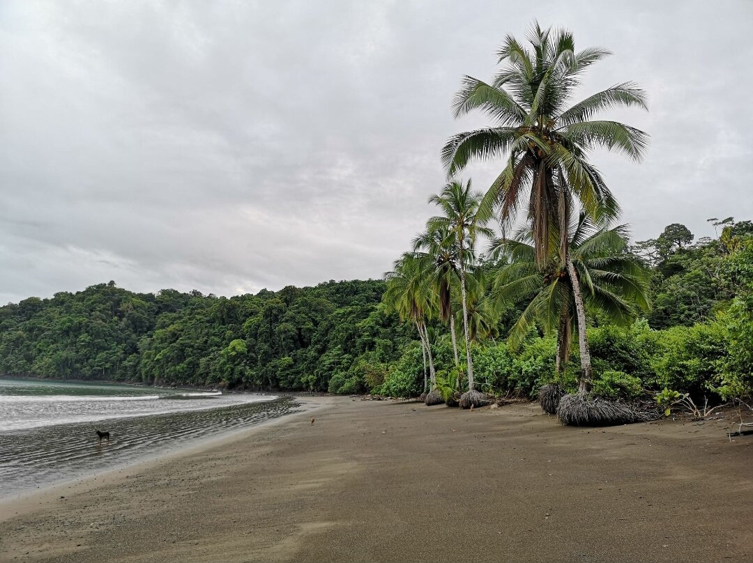 Mecana Ecohotel主图