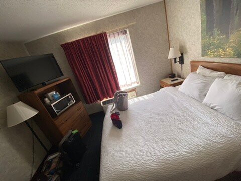 Days Inn by Wyndham Hurley主图