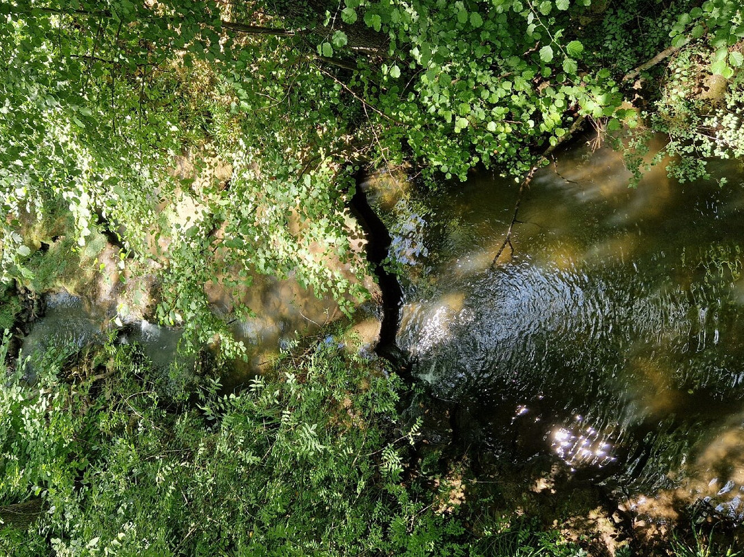 Domaine Fontainebleau en Provence景点图片