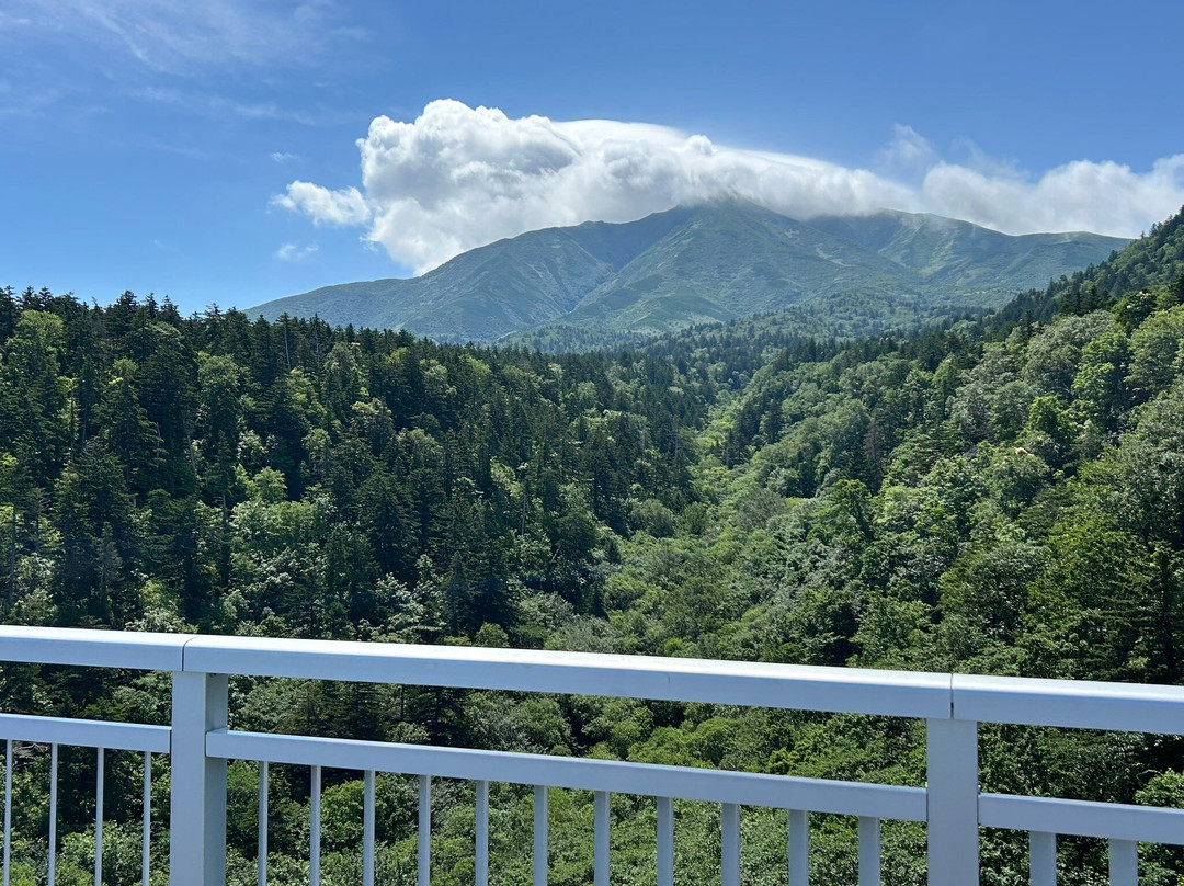 Rishirifuji Rishiri Bike Path-利尻富士町必去景点