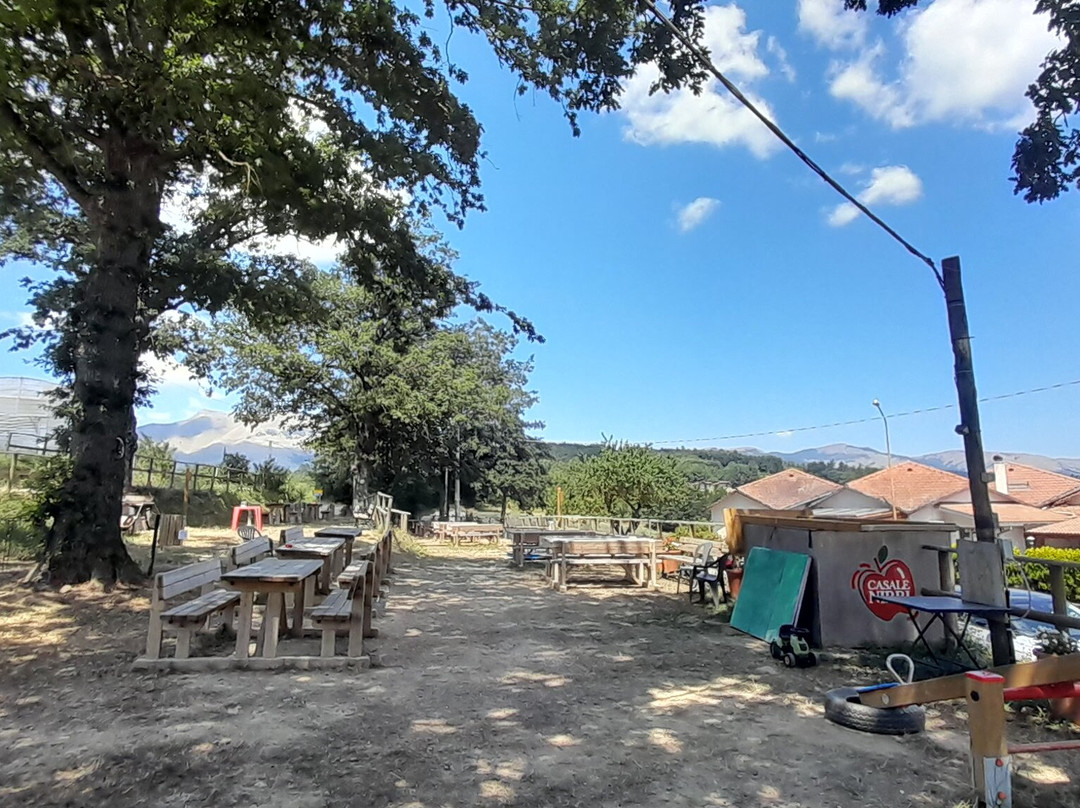 Casale Nibbi Azienda Agricola景点图片