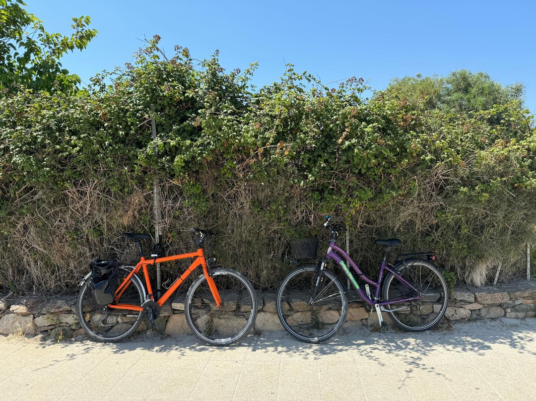 SARDIGNA by BIKE-San Teodoro必去景点