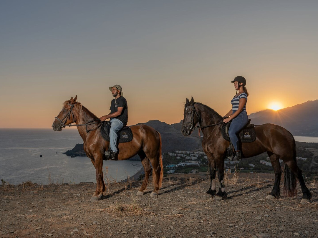 Plakias Horse Riding Center-Plakias必去景点