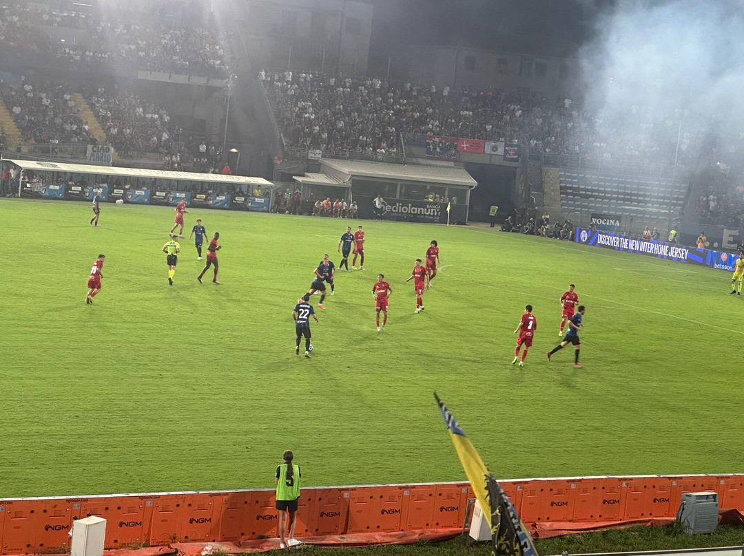 Stadio Arena Garibaldi - Romeo Anconetani景点图片