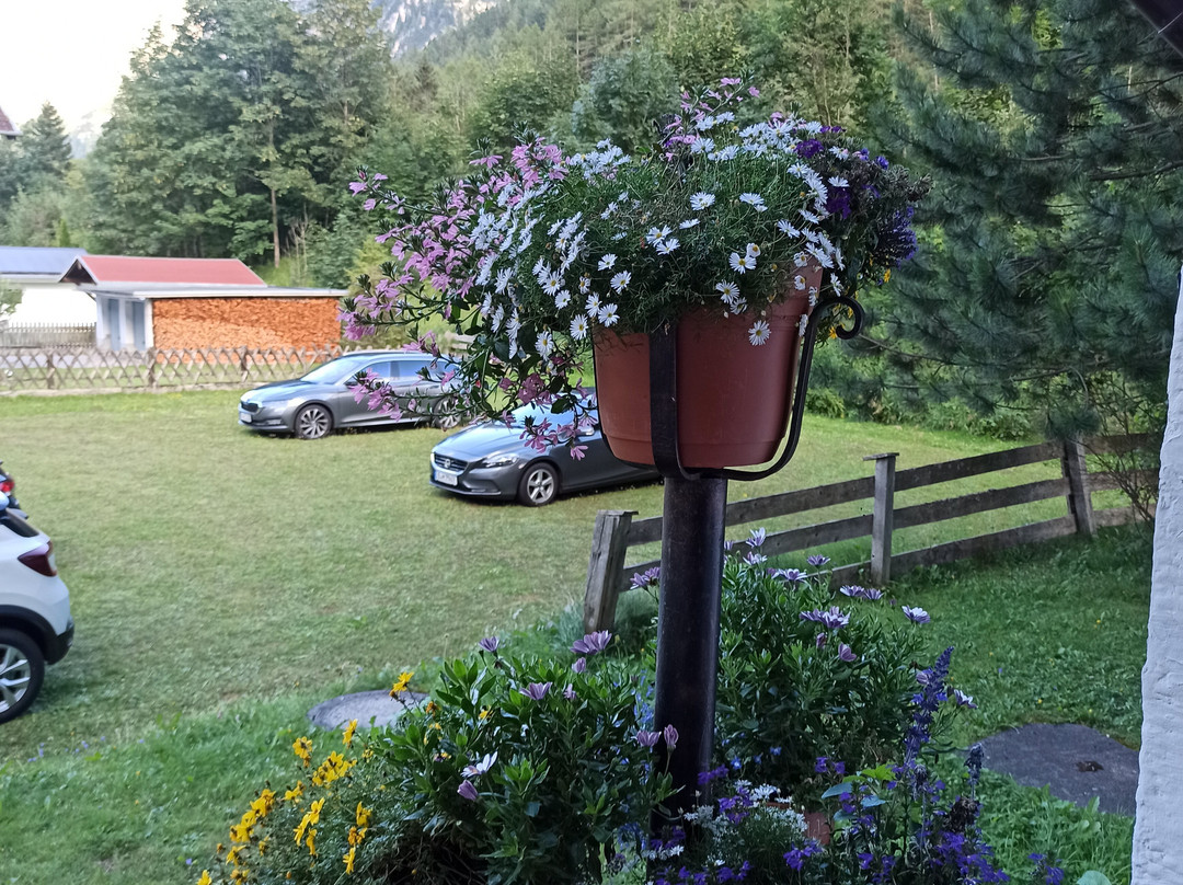 Pension Nina & Gasthof Alpenrose主图