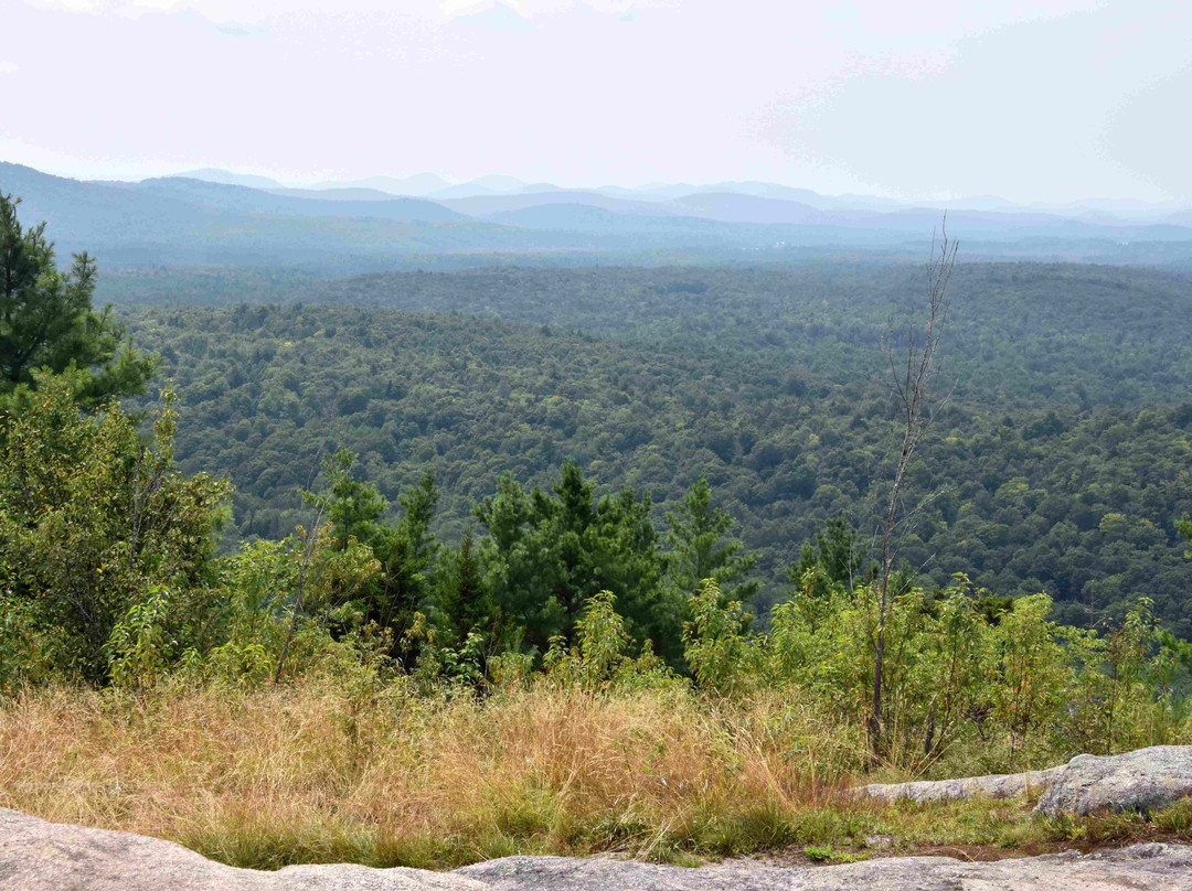 Coney Mountain Trail景点图片